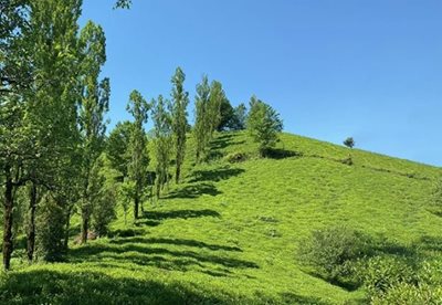 لاهیجان-روستای-شیخانبر-472186