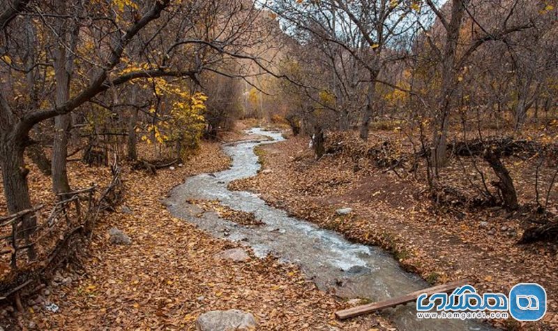 روستای درده