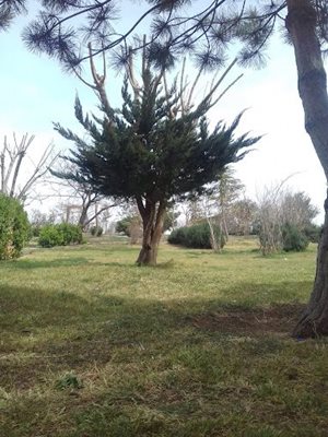 شهر-جدید-پرند-پارک-کوهسار-پرند-474900