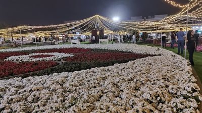 دبی-واحه-العین-دبی-474949
