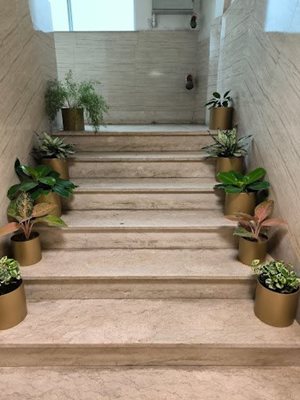 رشت-هتل-آپارتمان-نرگس-475748