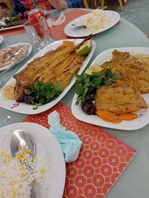 یزد-رستوران-نگین-476551