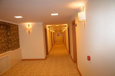 وان-هتل-هالدی-وان-476740