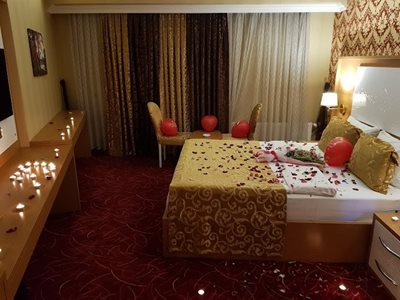وان-هتل-هالدی-وان-476746