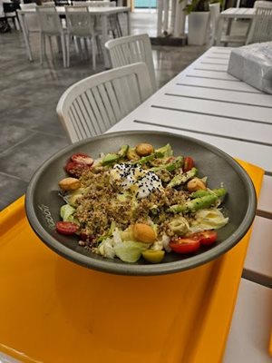 کیش-فودکورت-دامون-477884