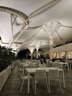 کیش-فودکورت-دامون-477882