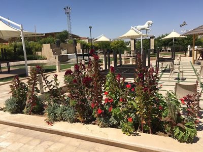 کرمان-رستوران-الماس-کویر-479061