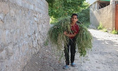 کرمان-روستای-سیرچ-481521