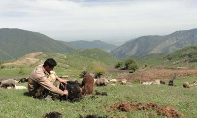 رامیان-روستای-پاقلعه-481859