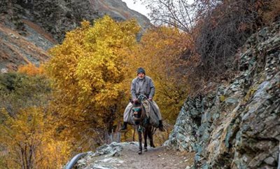 شمیرانات-روستای-آهار-481891