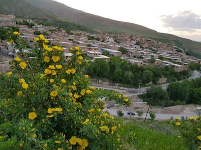 سمیرم-روستای-سیور-482723