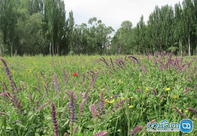 روستای هونجان