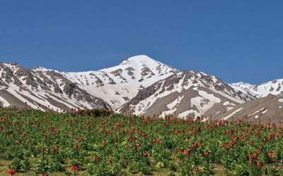 فریدونشهر-روستای-چغیورت-482732