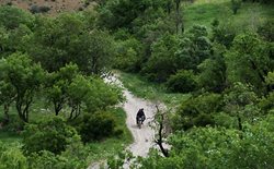 روستای آب ملخ