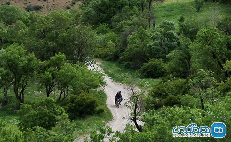 روستای آب ملخ