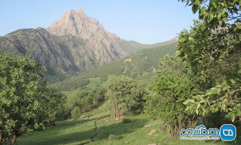 کوه قارون