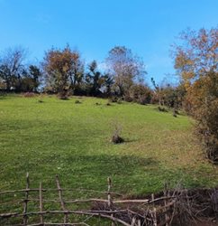 روستای شیله وشت