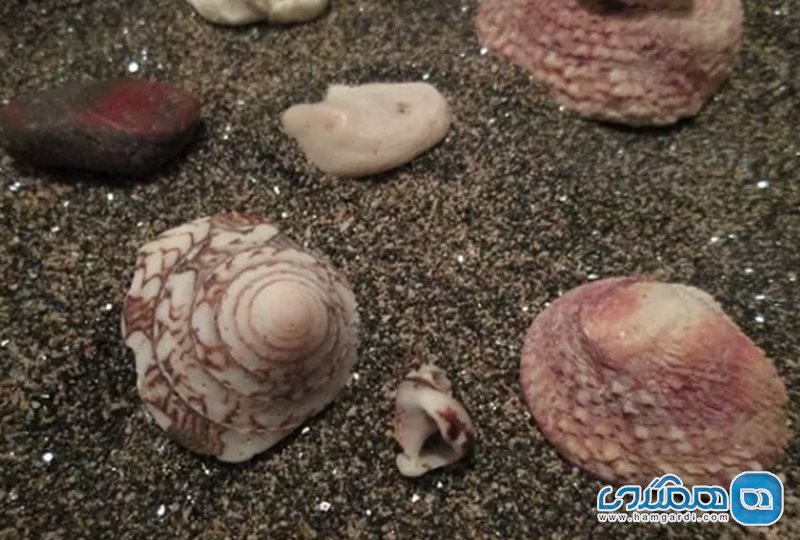 ساحل نقره ای قشم