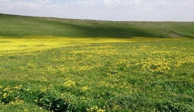 بستان-آباد-روستای-خشکناب-483143