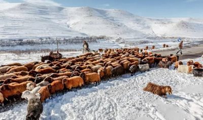 اسکو-روستای-حیله-ور-483127