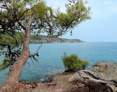 آنتالیا-ساحل-فاسلیس-آنتالیا-483463