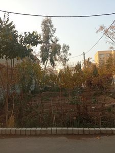 خمینی-شهر-پارک-جنگلی-ولیعصر-484410