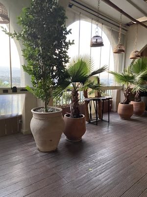 مشهد-کافه-رستوران-ویولانژ-485085