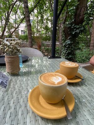 مشهد-کافی-شاپ-سی-مشهد-485995