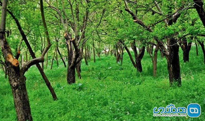 روستای حصار گلستان