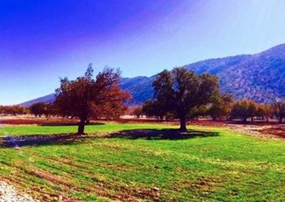 کازرون-دشت-برم-کازرون-489800