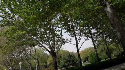 اصفهان-پارک-قلمستان-اصفهان-490141