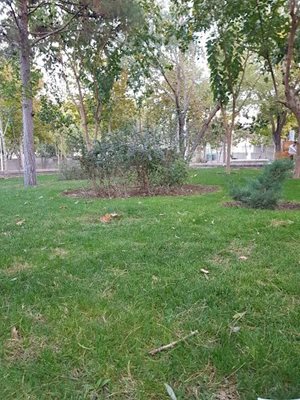 اصفهان-پارک-مرداویج-اصفهان-490186