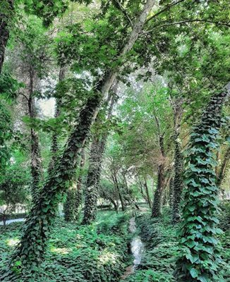 اصفهان-پارک-مشتاق-اصفهان-490161