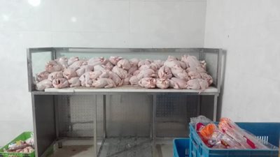 نسیم-شهر-مرکز-پخش-مرغ-مرادی-491001