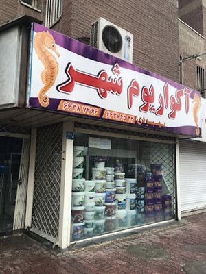 آکواریوم شهر