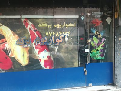 آکواریوم برکه