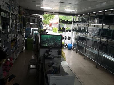 تهران-آکواریوم-نمو-491063