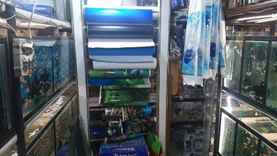 تهران-آکواریوم-هفت-دریا-491080