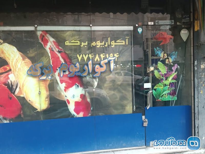 آکواریوم برکه