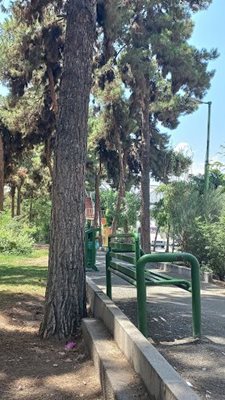 تهران-پارک-کیهان-491241