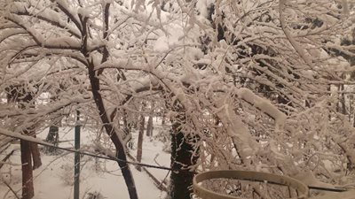 تهران-پارک-کیهان-491238