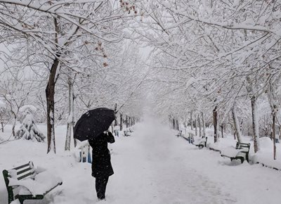 تهران-بوستان-الهام-491234