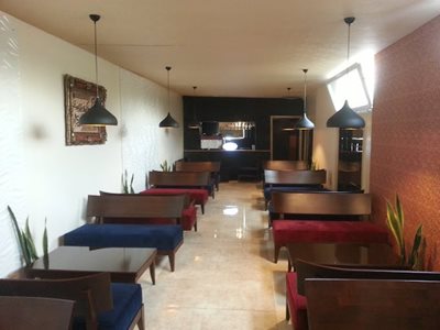 تهران-کافه-موگه-491579
