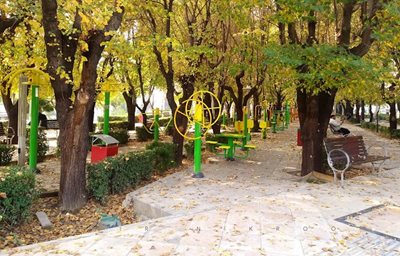 تهران-پارک-المهدی-تهران-491745
