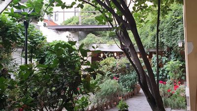 تهران-کافه-رومی-492323