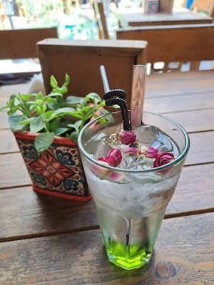 تهران-کافه-کتاب-دارالخلافه-493783