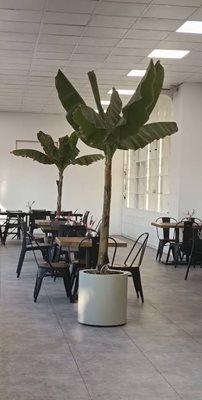 تهران-کافه-رستوران-نوژ-494546
