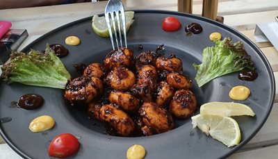 تهران-کافه-ناک-494929