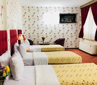 تهران-هتل-ایران-تهران-495237
