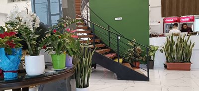 نوشهر-رستوران-نرگس-خاتون-495442